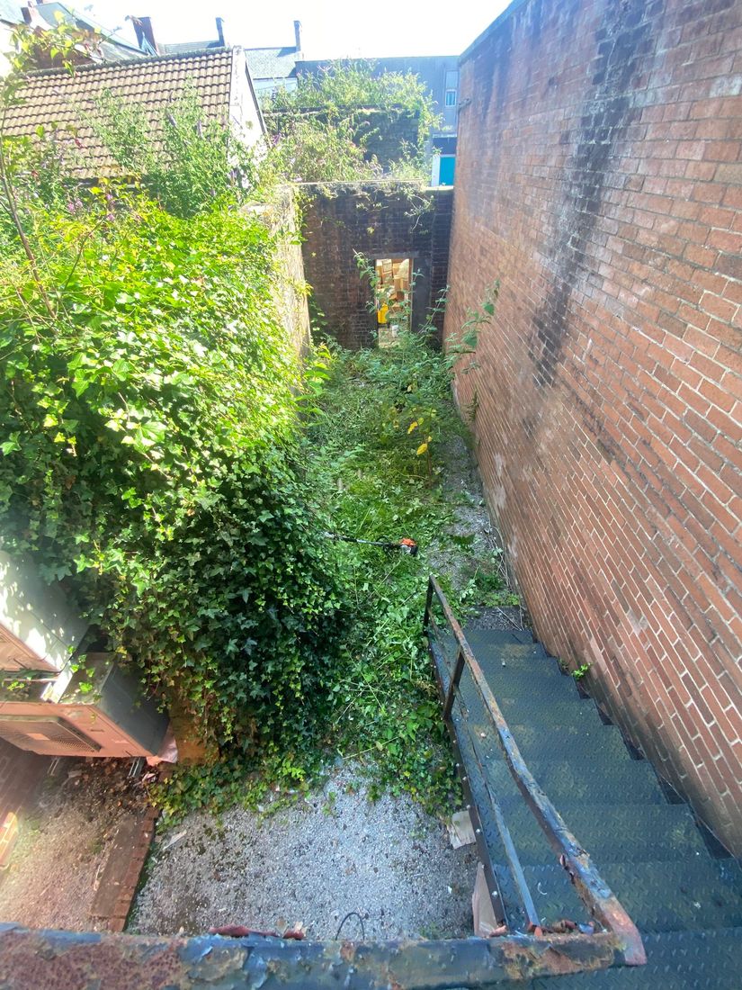 Garden Clearance in South Wales