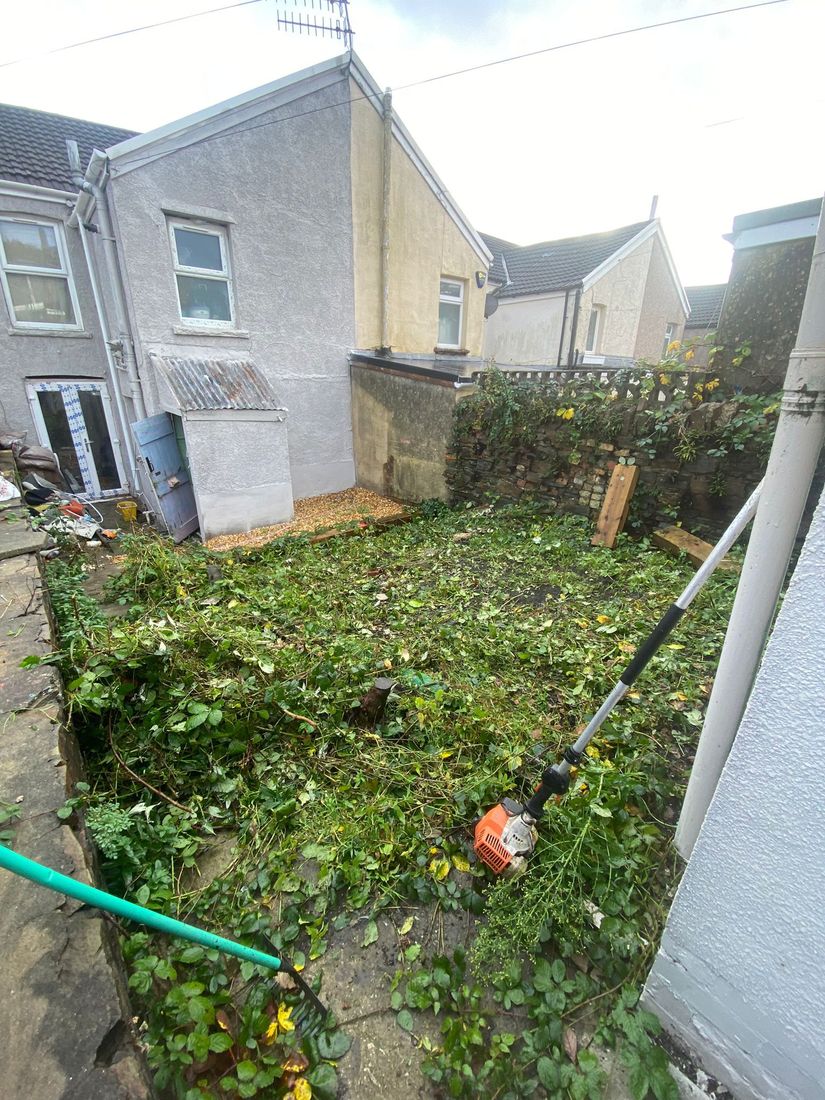 Small walled back garden covered in weeds and cuttings with an orange strimmer lying on the ground