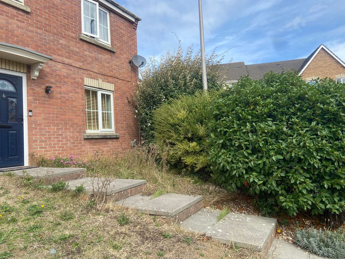 Overgrown evergreen hedges and shrubs beside stone steps at the front of a red-brick house