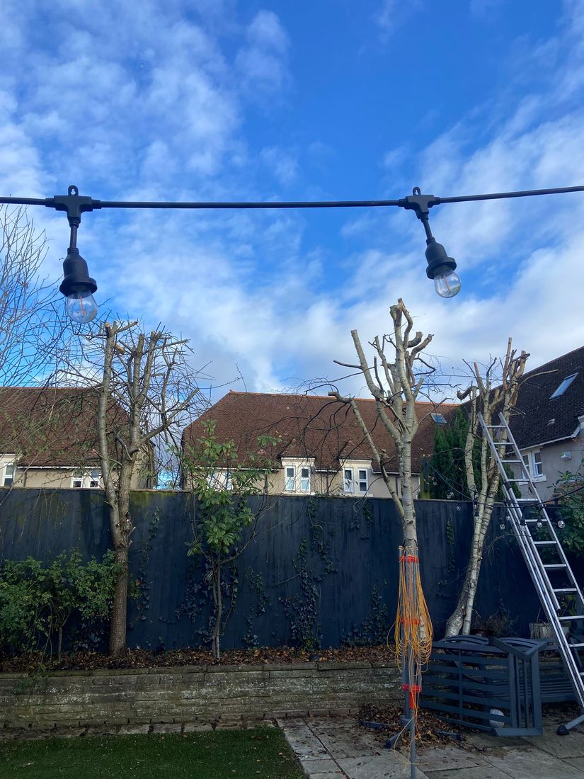 Pruned bare shrubs and trees along a dark fence below a string of festoon lights