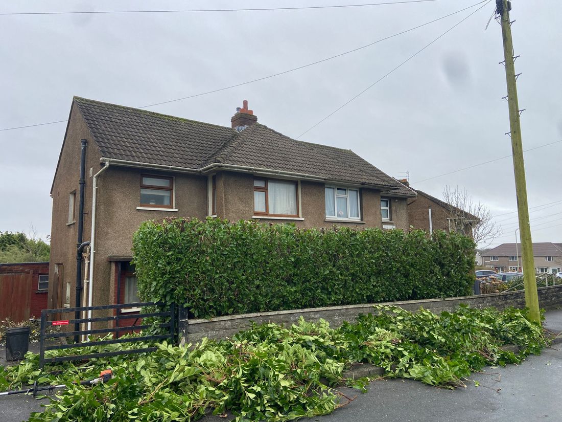 Trimmed roadside hedge in front of a house with a large pile of green cuttings on the road