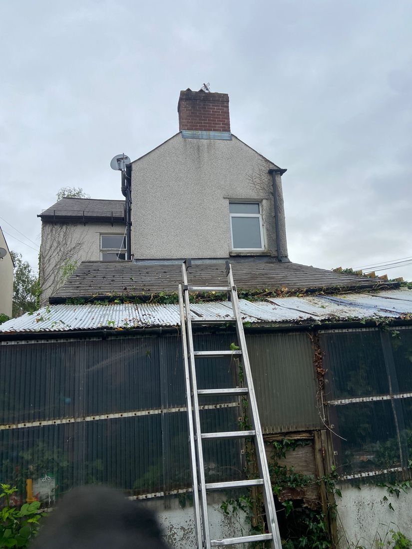 Ladder resting on a corrugated outbuilding roof with ivy and a chimney behind