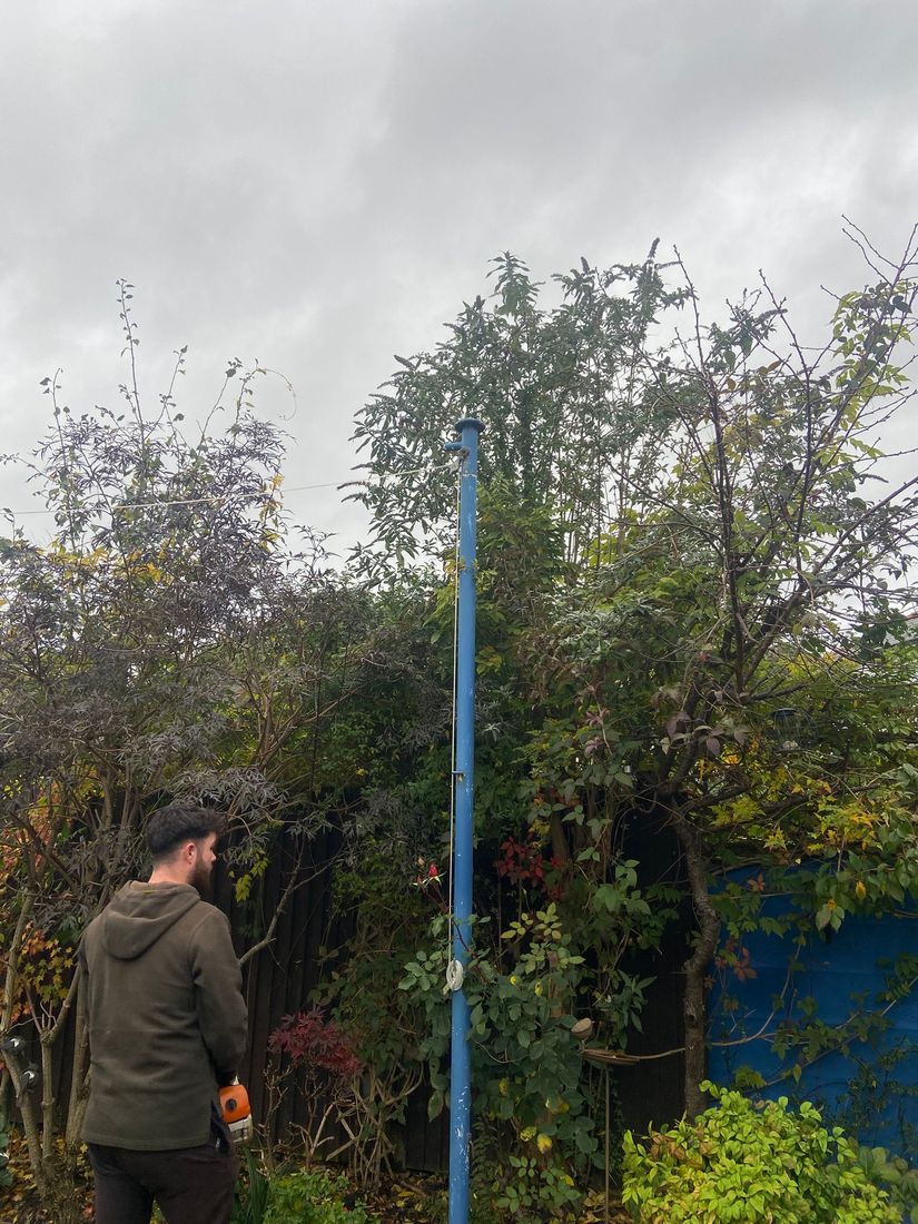 Person holding a long-reach tool beside a blue pole in a garden full of tall shrubs