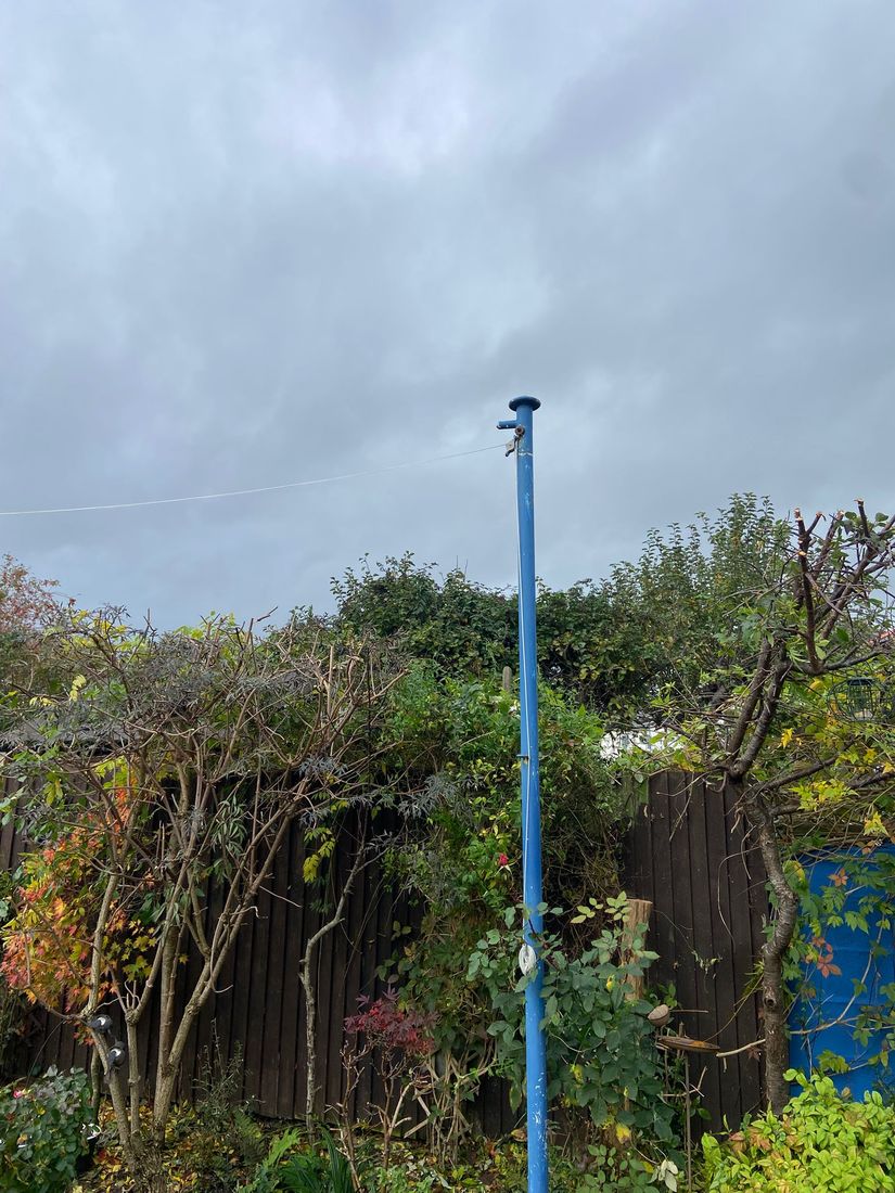 Garden shrubs and a blue pole against a dark fence with the top growth thinned