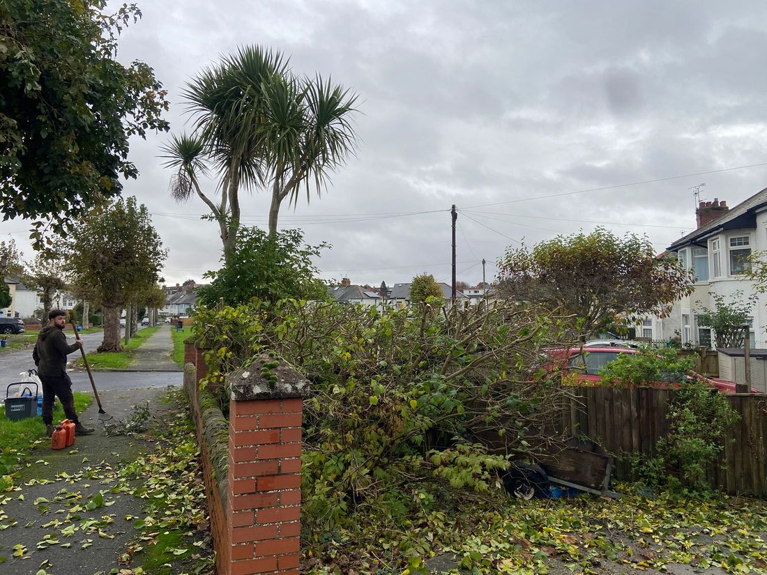 Person with a rake on a pavement beside cut branches, fuel cans and a brick gatepost