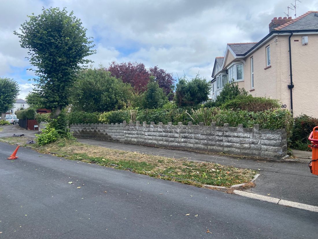 Trimmed hedge above a stone wall beside a road with an orange cone and verge