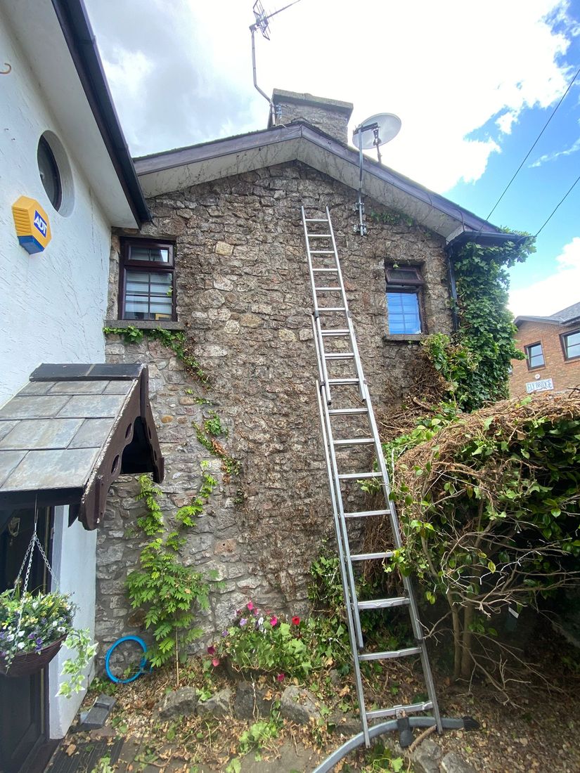 Long aluminium ladder against a stone cottage gable with ivy and cut stems at the base