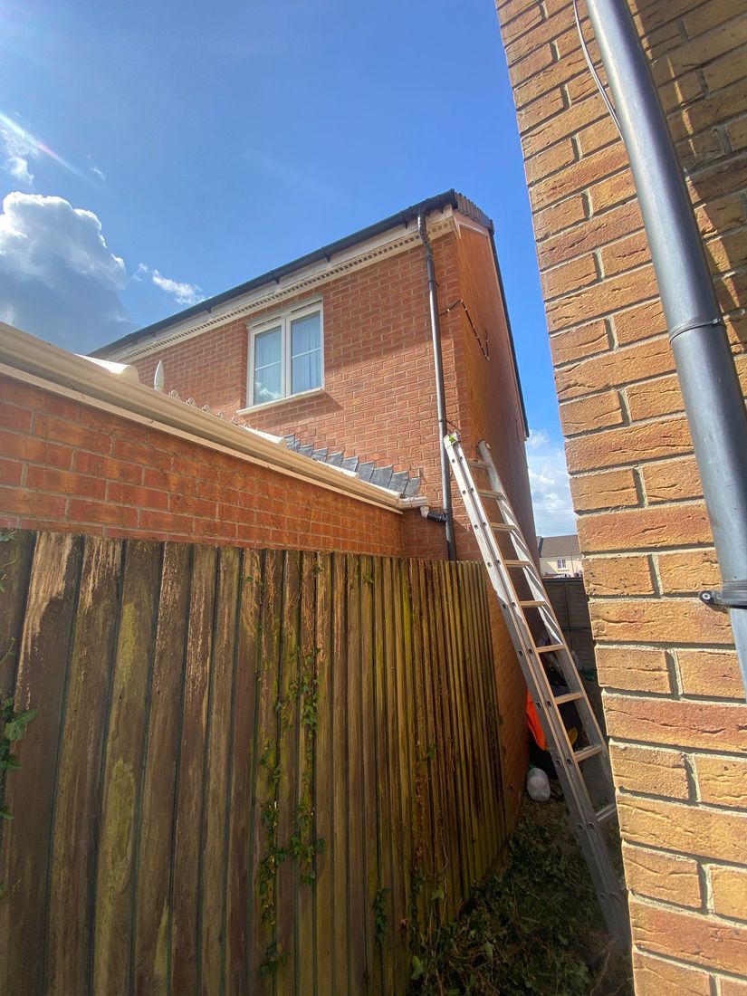 Aluminium ladder leaning against a brick house beside a weathered close-boarded fence with trailing ivy stems and cut clippings below