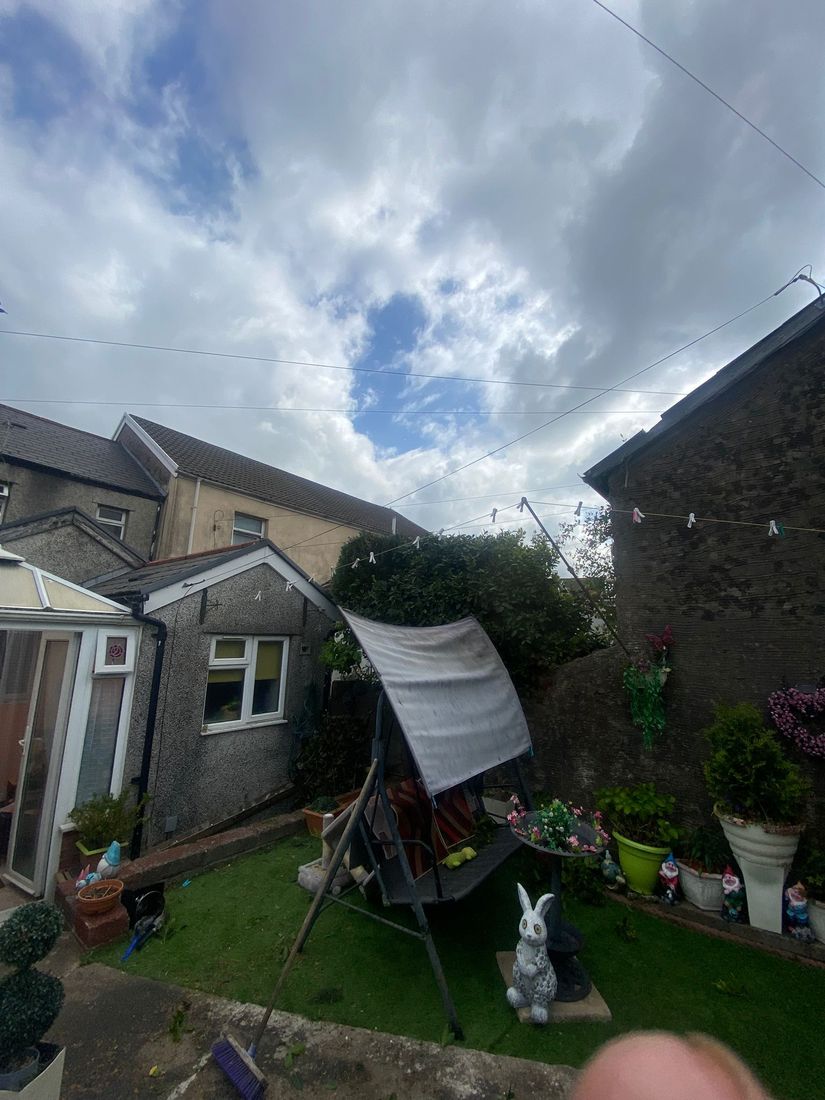 Small terraced back garden with conservatory, canopy swing seat, garden ornaments and dense greenery behind