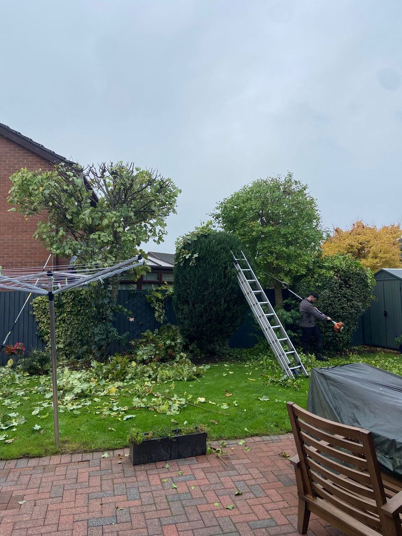 Man using a long-handled trimmer on a tree beside a dark fence, ladder leaning nearby
