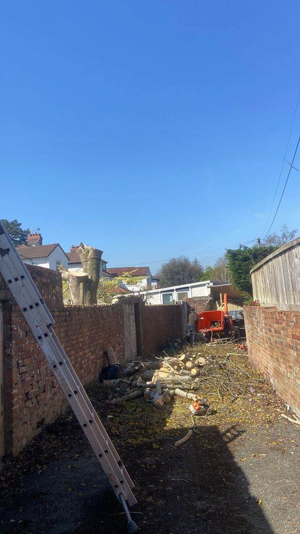 Narrow lane between brick walls with logs, a short remaining trunk and an orange chipper at the end