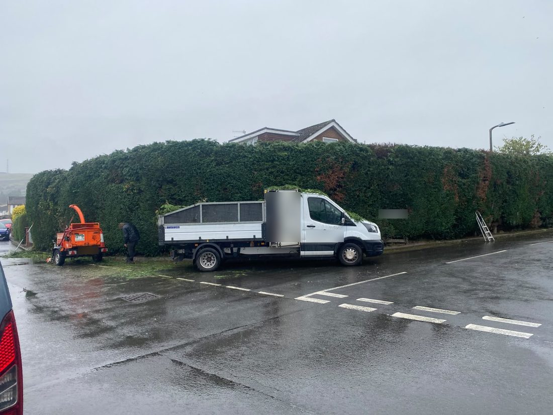 White tipper truck and orange wood chipper parked in front of a tall conifer hedge on a wet road