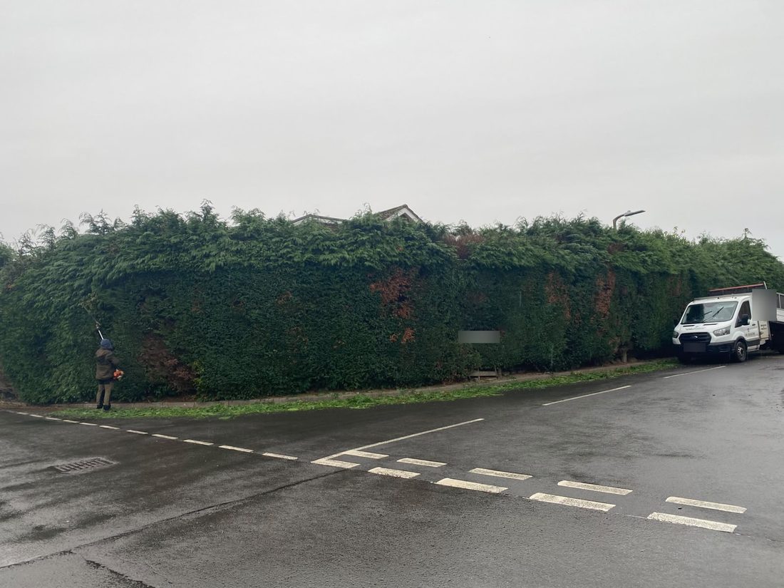 Person using a long-reach hedge trimmer on the side of a tall conifer hedge beside a pavement