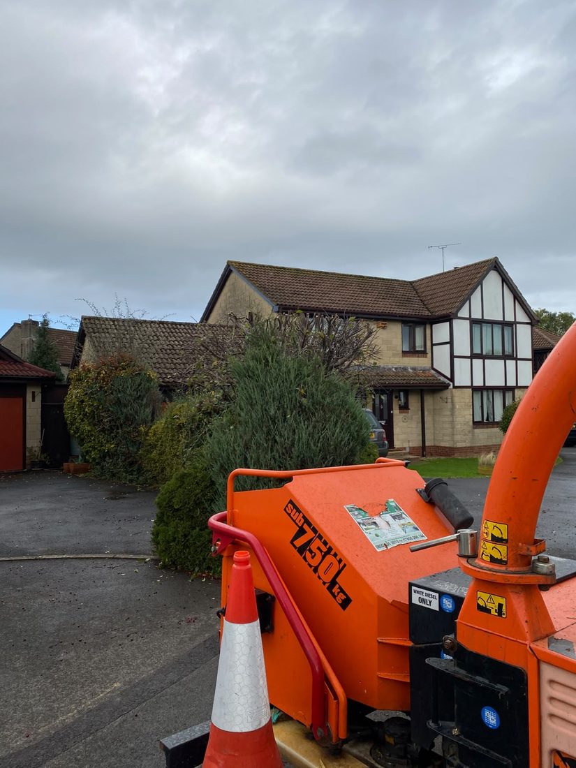 Orange wood chipper and a traffic cone on the road in front of a detached house