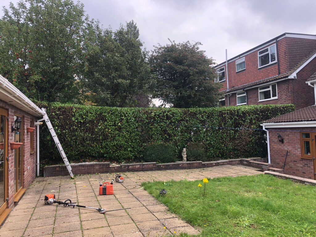 garden hedge maintenance Caerphilly
