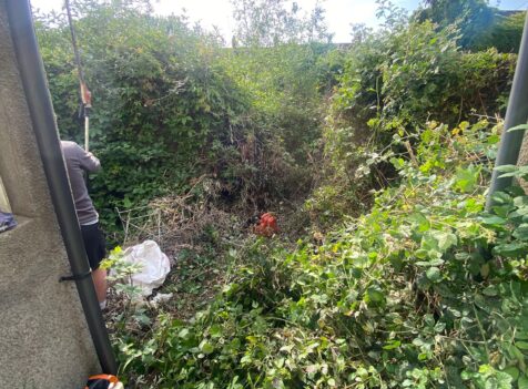 garden clearance newport