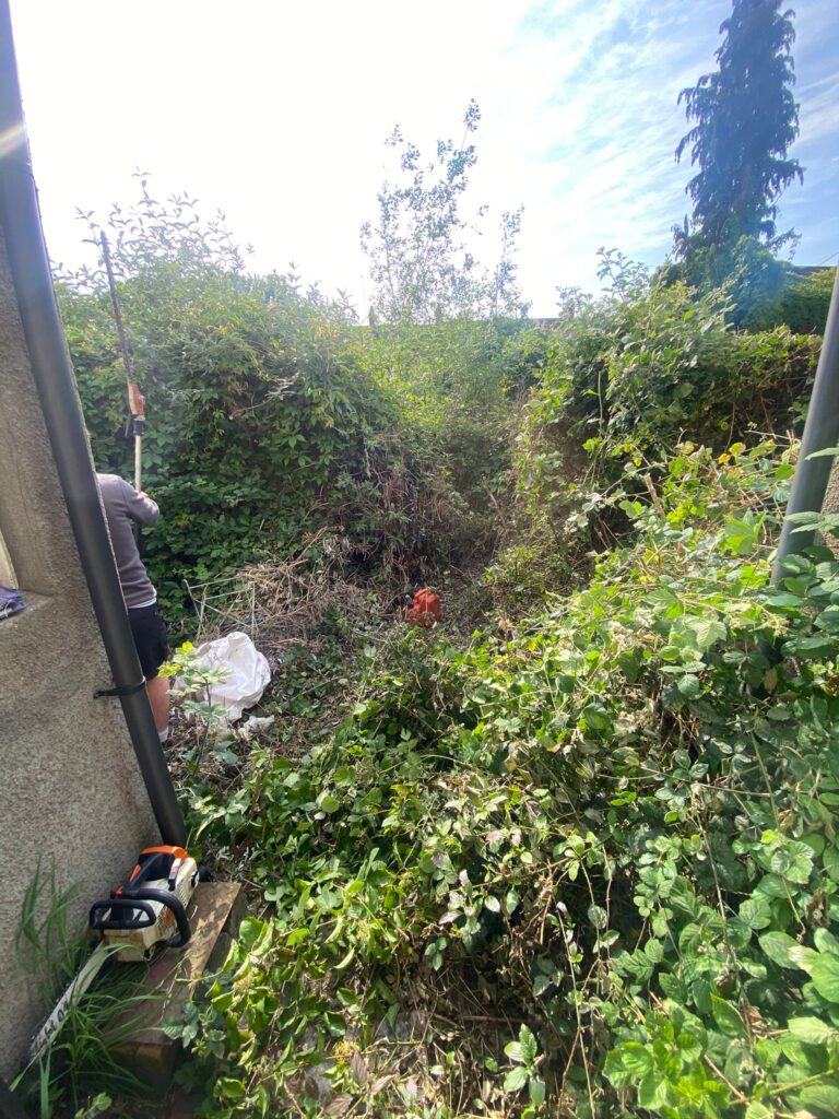garden clearance newport