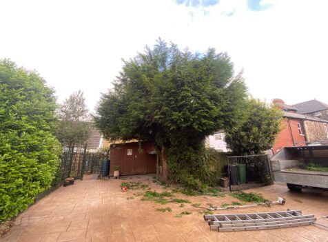 hedge maintanance pontypridd
