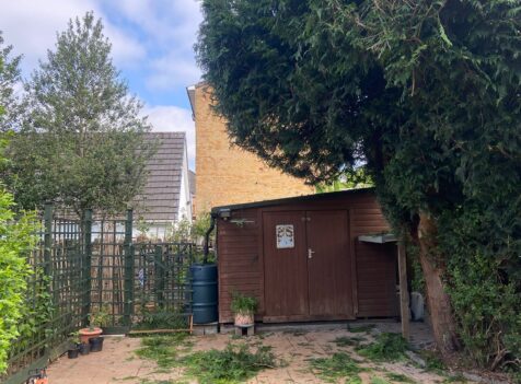 hedge maintanance pontypridd
