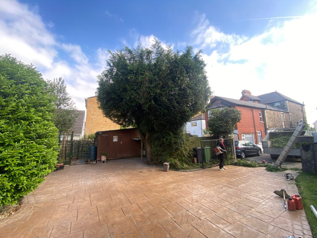 hedge maintanance pontypridd