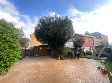 hedge maintanance pontypridd
