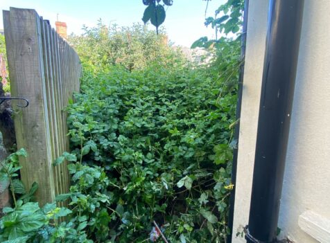 garden clearance Swansea