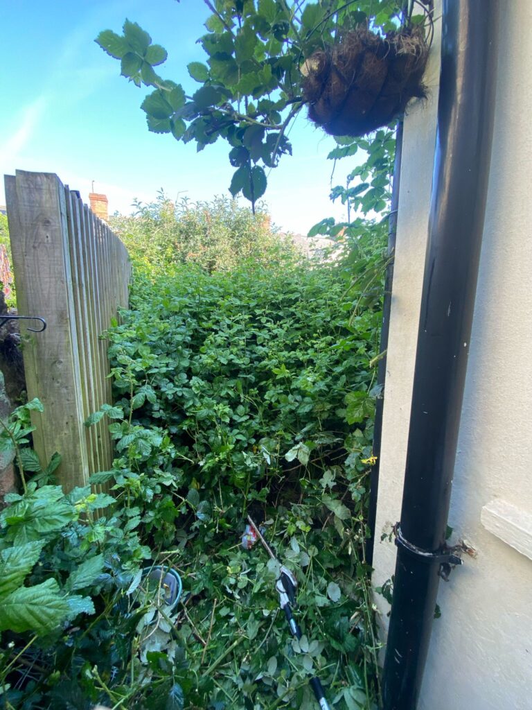 garden clearance Swansea