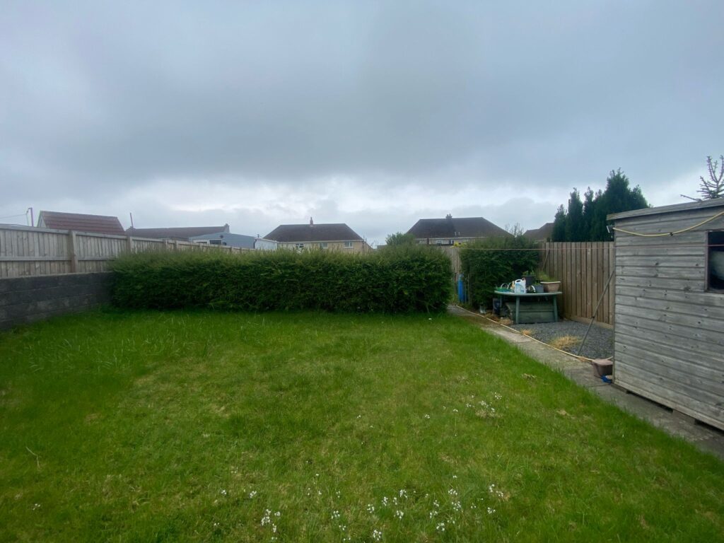 hedge removal swansea