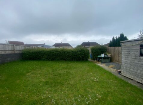 hedge removal swansea