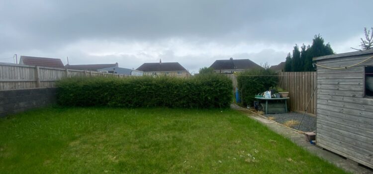 hedge removal swansea
