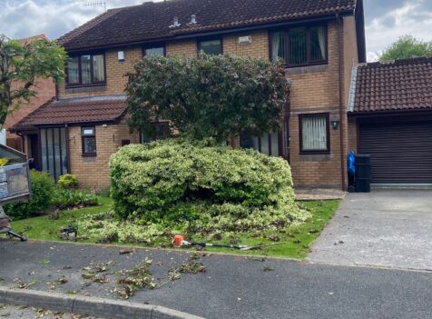 hedge trimming Barry