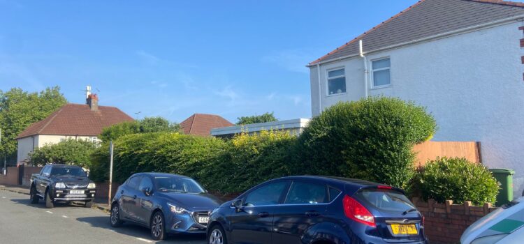hedge maintenance Abergavenny