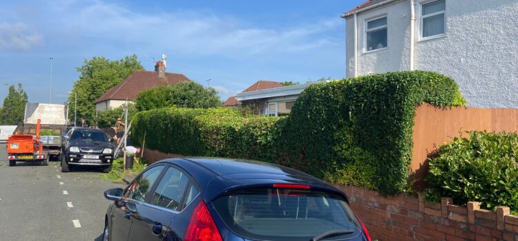 hedge trimming Abergavenny