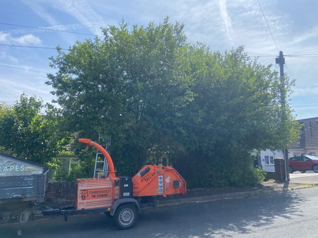 hedge cutting carmarthen