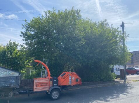 hedge cutting carmarthen