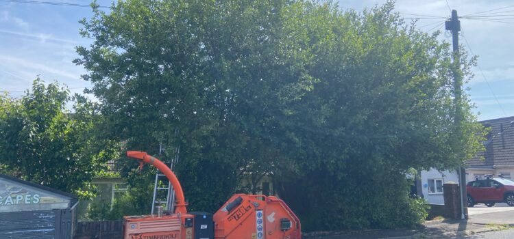 hedge cutting carmarthen