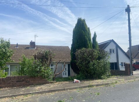 hedge cutting carmarthen