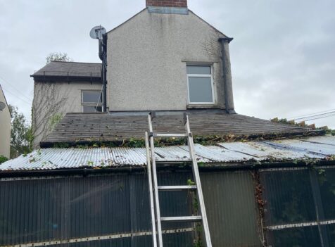 hedge cutting newport