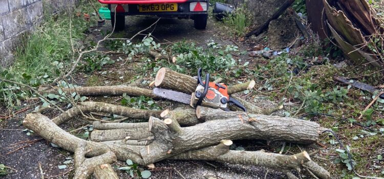 Local Tree Surgeons