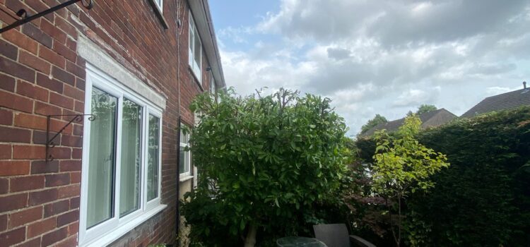 hedge cutting Cwmbran