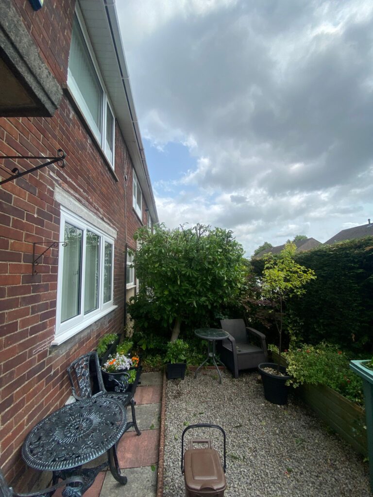 hedge cutting Cwmbran