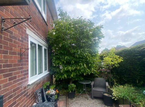 hedge cutting Cwmbran