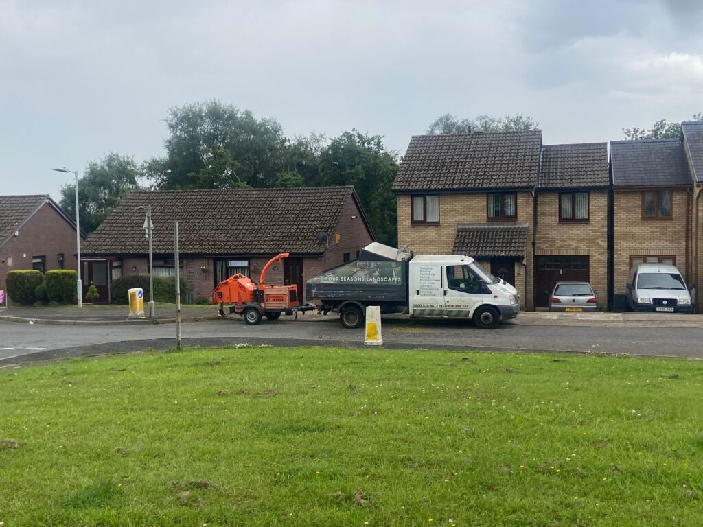 fir tree removal swansea