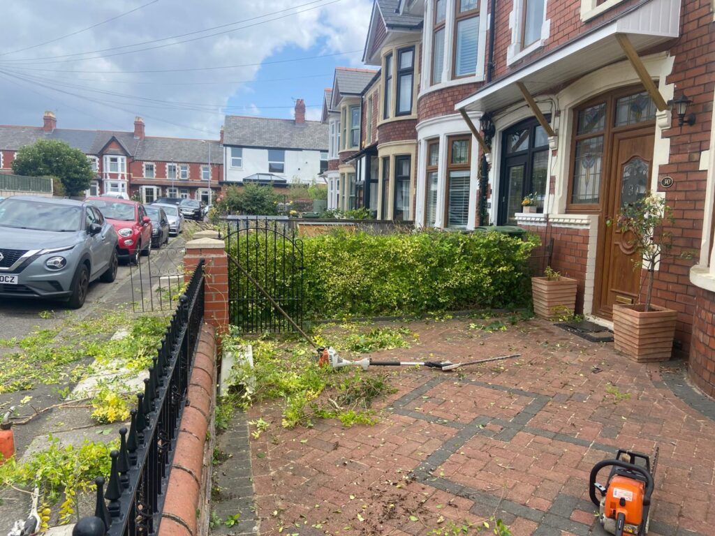 hedge cutting in Cardiff