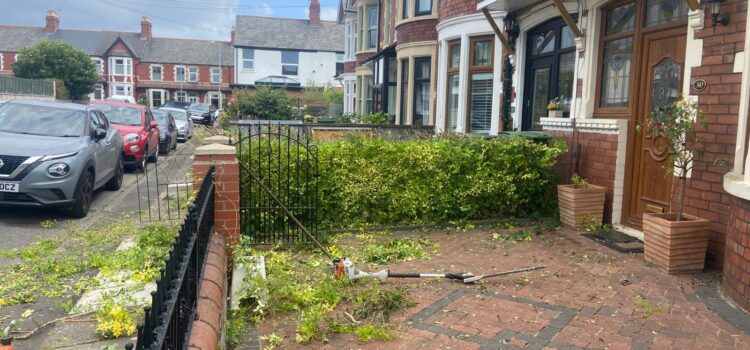 hedge cutting in Cardiff