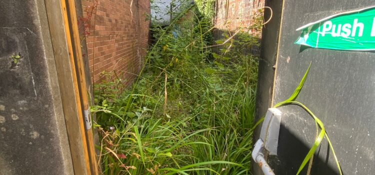 garden clearance Neath