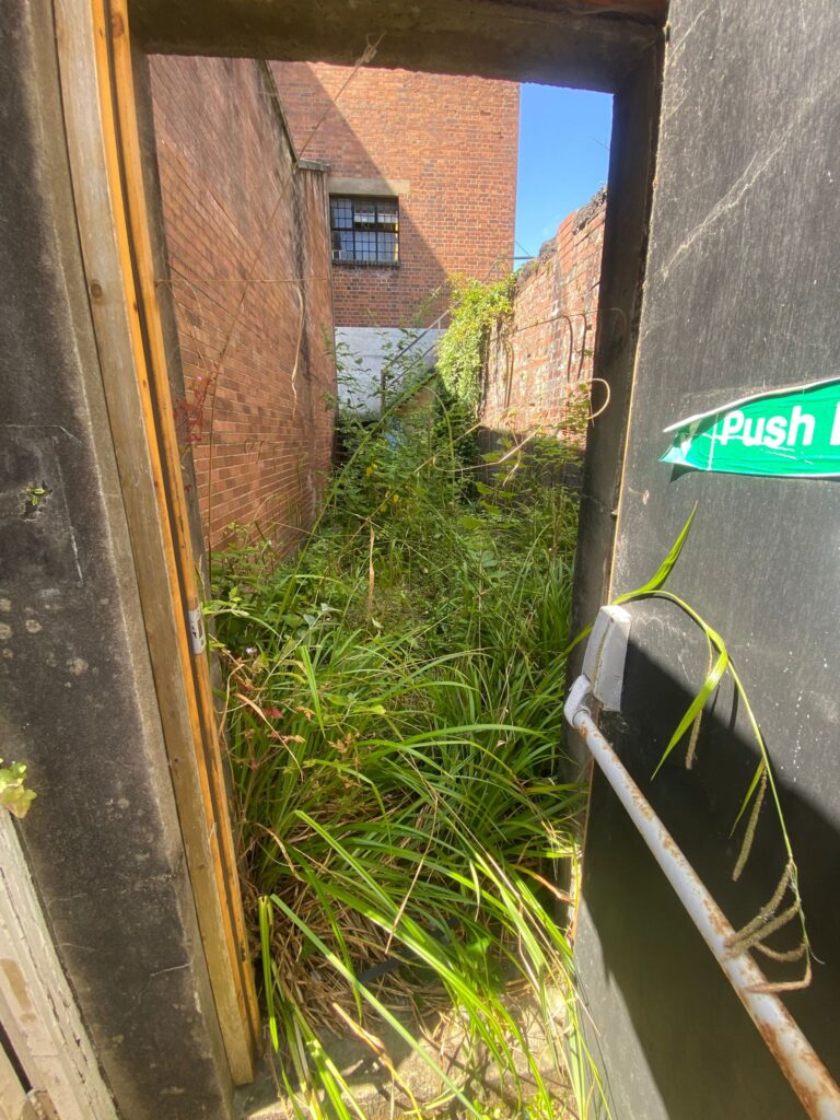 garden clearance Neath