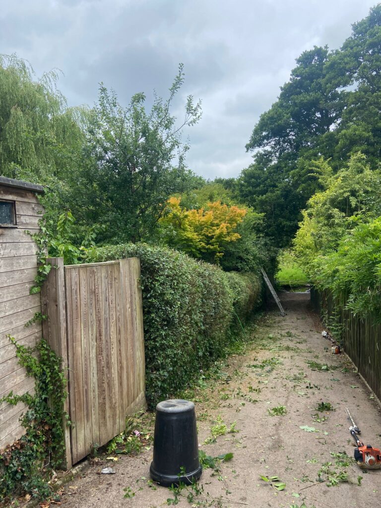 Hedge trimming Abertillery