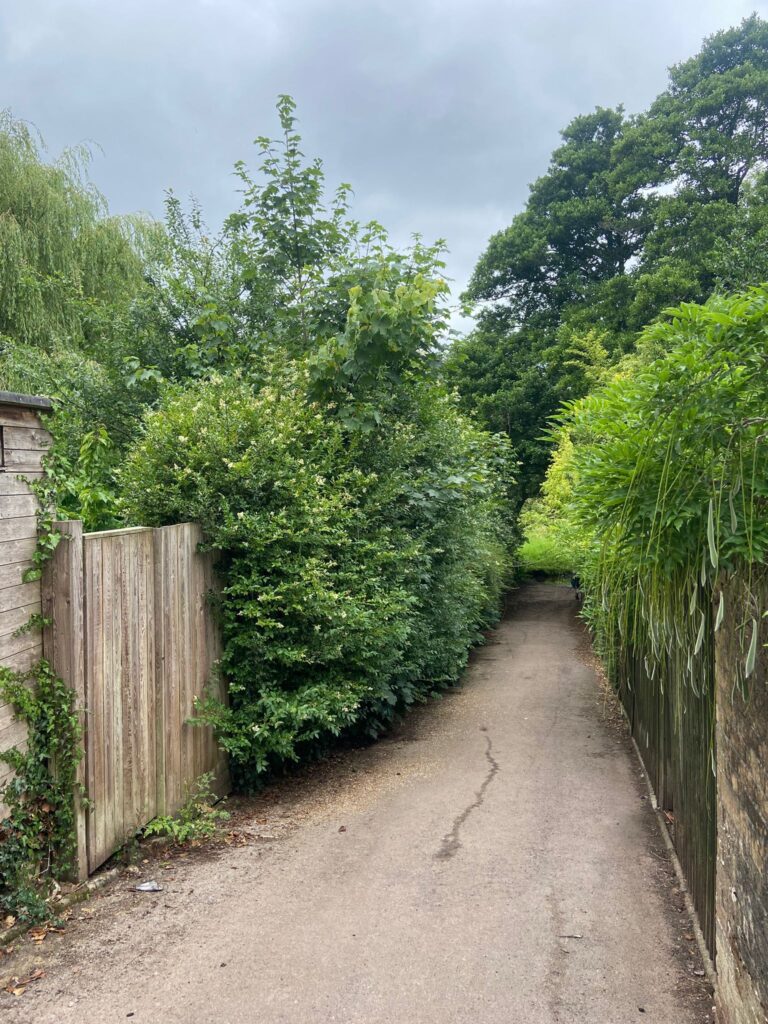 Hedge trimming Abertillery