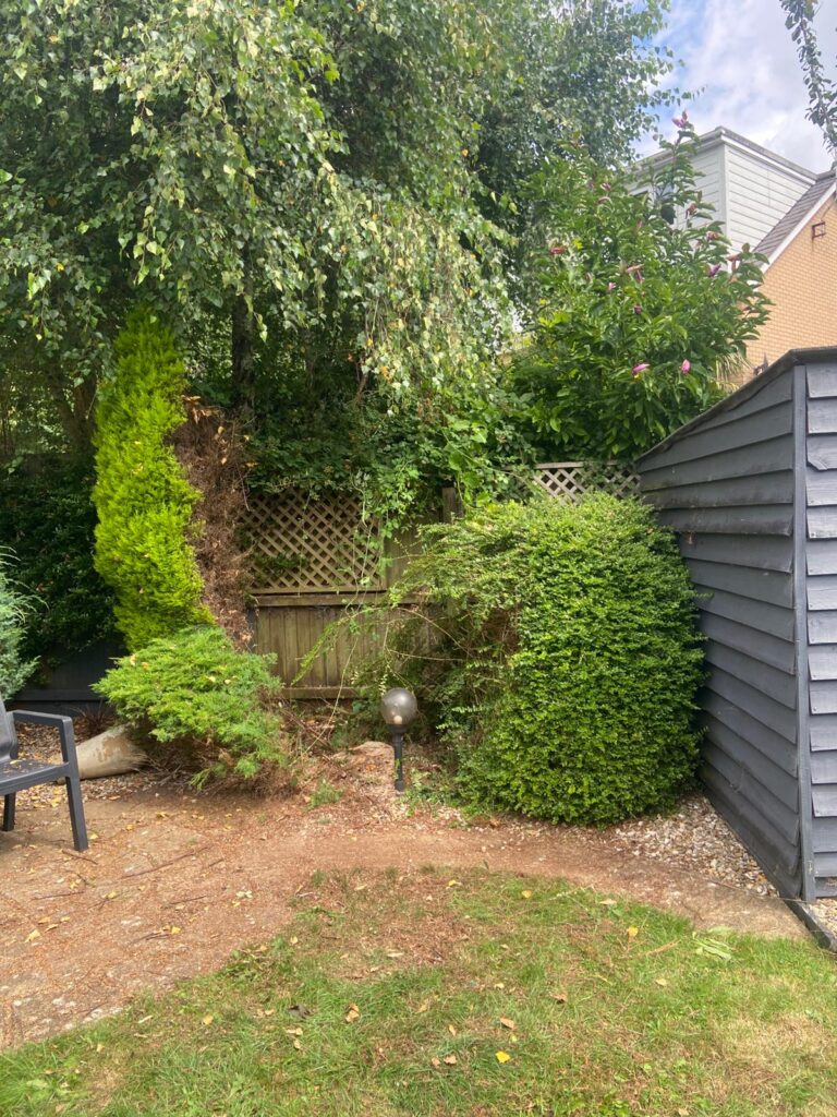hedge cutting in Abertillery